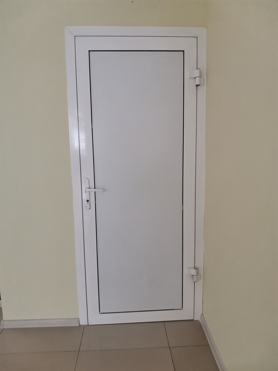 Алюминиевая дверь 1000×2100 мм. GFTD25207 Алюминиевая дверь 1000×2100 мм. GFTD25207